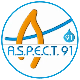 Logo de Aspect 91