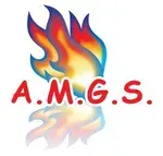 Logo de Amgs