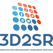 Logo de 3d2sr