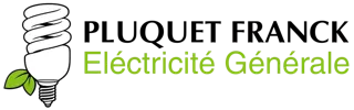 Logo de Pluquet Franck Electricite